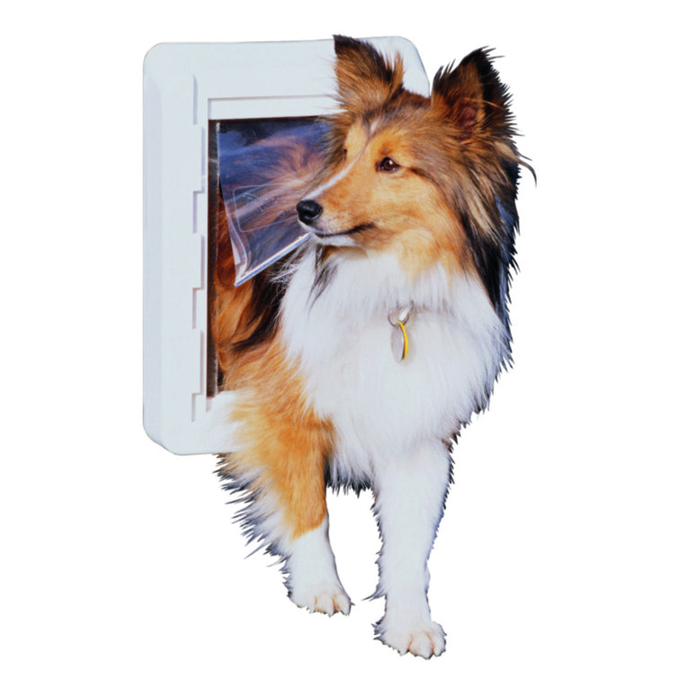 Perfect Pet Ruff Weather Pet Door & Reviews Wayfair